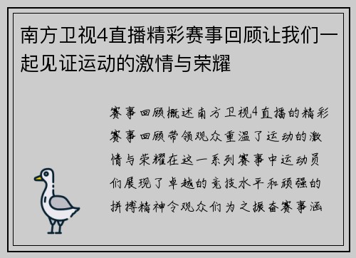 南方卫视4直播精彩赛事回顾让我们一起见证运动的激情与荣耀